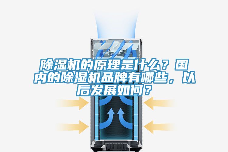 除濕機的原理是什么？國內的除濕機品牌有哪些，以后發展如何？