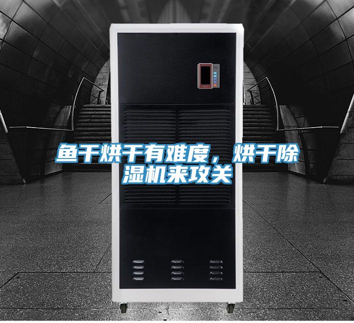 魚干烘干有難度，烘干除濕機來攻關