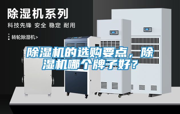 除濕機的選購要點，除濕機哪個牌子好？