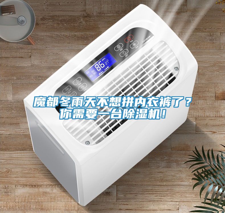 魔都冬雨天不想拼內衣褲了？你需要一臺除濕機！