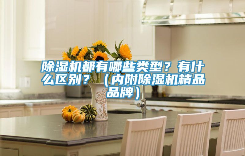 除濕機都有哪些類型？有什么區別？（內附除濕機精品品牌）