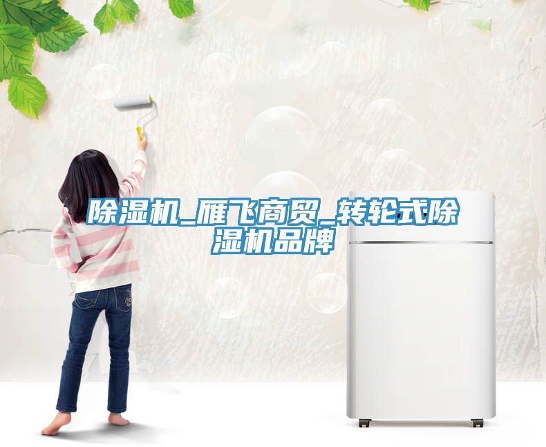 除濕機_雁飛商貿(mào)_轉輪式除濕機品牌