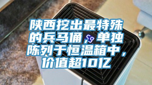 陜西挖出最特殊的兵馬俑，單獨陳列于恒溫箱中，價值超10億